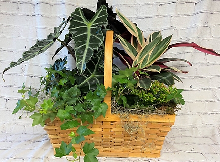 Rectangular Planter basket